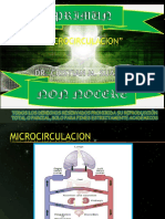 Microcirculacion N.E.