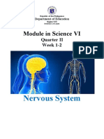 Science Vi-Quarter 2 Module (Week 1-2 Nervous System)