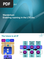 Wanderlust: Enabling Roaming in The LTE Era