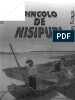 NEAGU Fanus Dincolo de Nisipuri
