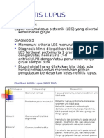 Nefritis Lupus