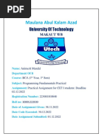 PDF Document