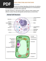 1.1.9 The Cell Structure and Functions