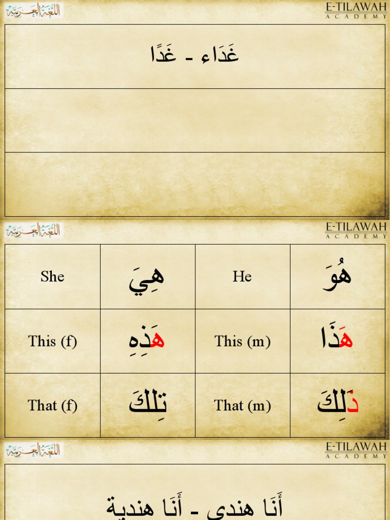 Arabic Grammar and Vocabulary Guide | PDF | Grammatical Number | Plural