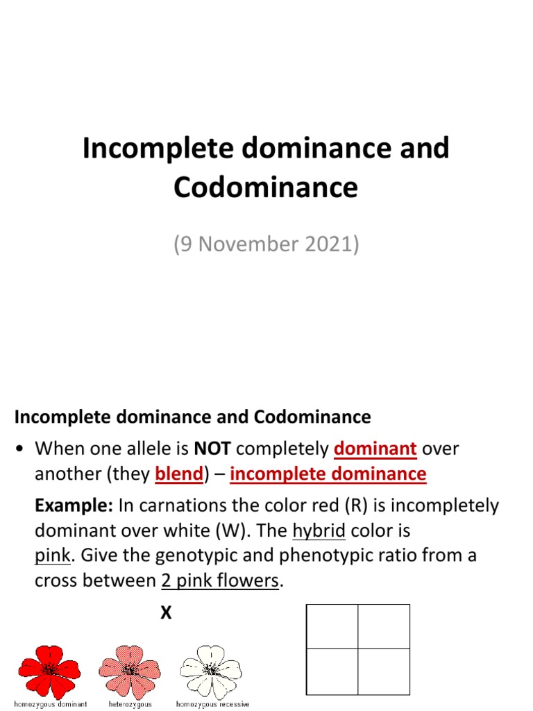 Incomplete Dominance and Codominance | PDF | Dominance (Genetics) | Allele