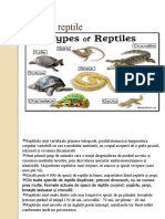 Despre Reptile