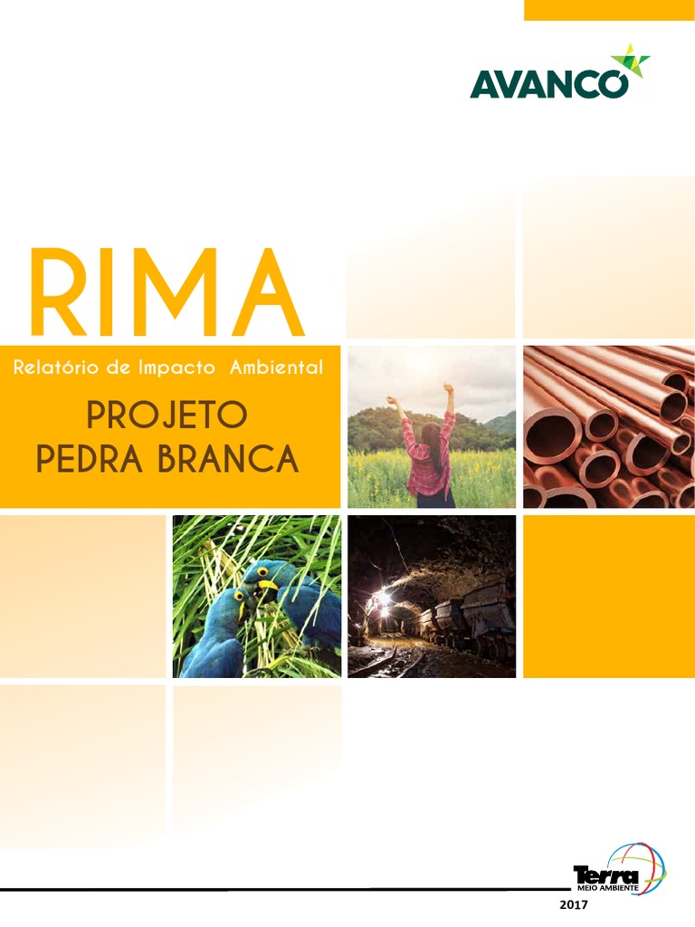RIMA do Projeto Pedra Branca | PDF | Mineração | Ambiente natural