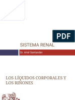 S1 Renal Inicial