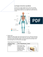 Anatomi Rangka Aksial Dan Apendikular