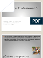 Practica Profesional 6