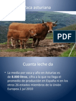 Vaca Asturiana