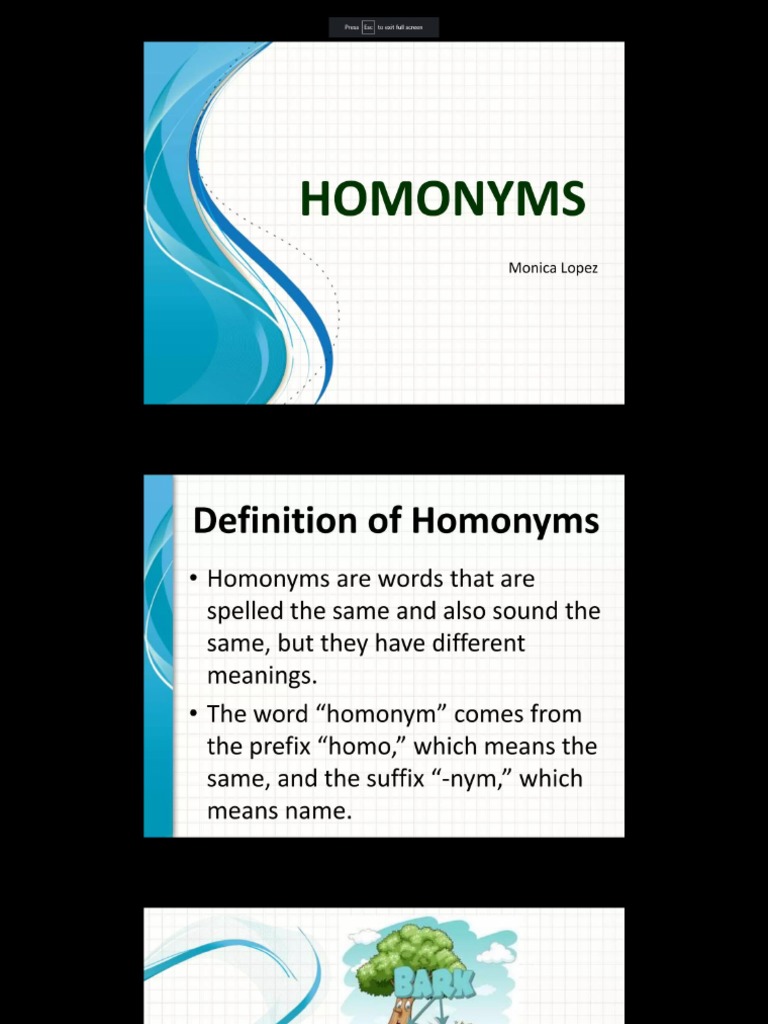 Homonyms PDF