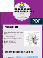Neuroanatomi Nervus Trigeminus - Andre William - 2065050155