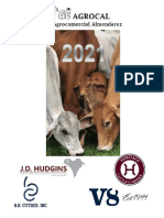 Catalogo Brahman Enero 2021