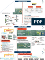 Mikroorganisme (Virus, Monera, Protista, Fungi)