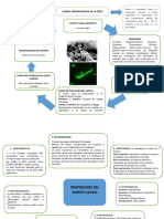 CADENAEPIDEMIOLOGICA