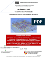 Anexo A - TDR - Elaboracion - Tarapoto Integrado (F) 27.09.22