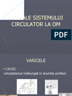 Boli Ale Sistemului Circulator La Om