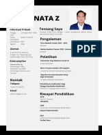 CV Aldi Seprianata Z