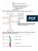 Trabajo-Practico-Evaluatorio Anatomia