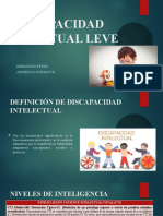 Discapacidad Intectual Leve