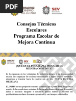 Programa de Mejora Continua 2025-2026 | PDF | Aprendizaje | Escuelas