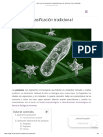 ¿Qué Son Los Protozoos - Instituto Europeo de Química, Física y Biología