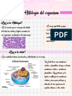 Bases Histología Del Organismo, Primera Clase.