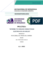 Informe de Conductividad Eléctrica Del Suelo - Paye Zeballos, Fresia