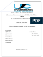 T-Liderança e Dimensões de Poder Nas Organizações