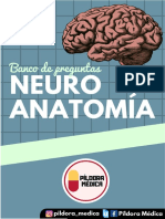 Banco Neuroanatomia Pildora Medica