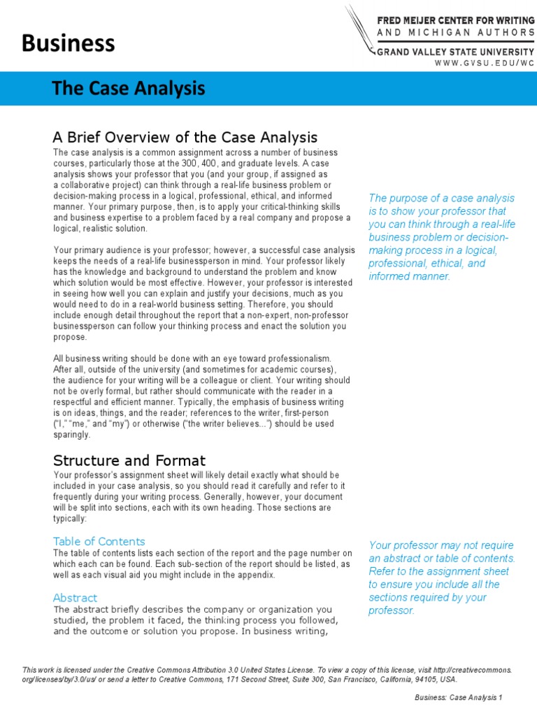 Business Case Analysis Guidelines | PDF | Apa Style | Abstract (Summary)