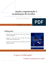 TP1 - Inflamação e Reparação de Tecidos