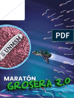 Economía - Maratón Grosera - Manuel Llontop