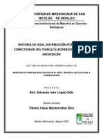 Analisis Del Cooredor Del Tigrillo en Michoacan