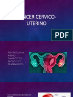 Cancer Cervico-Uterino