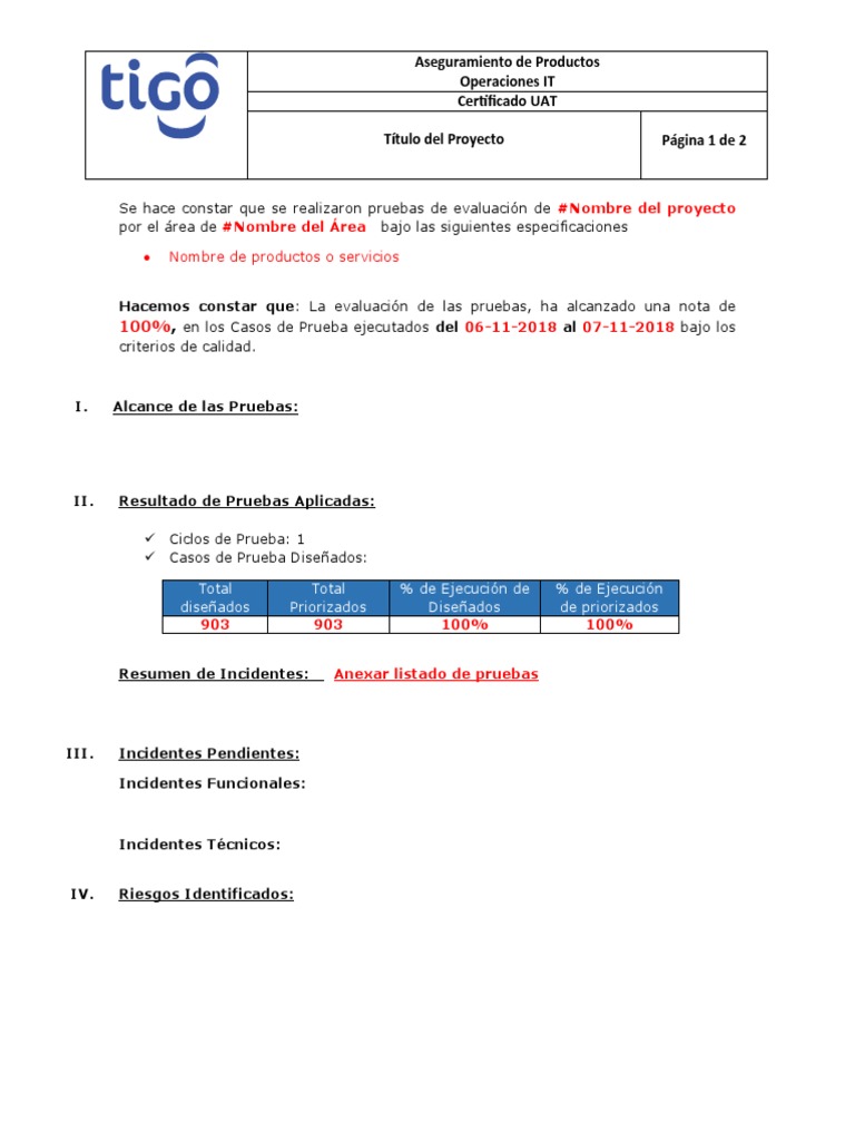 Acta Certificacion Testing | PDF