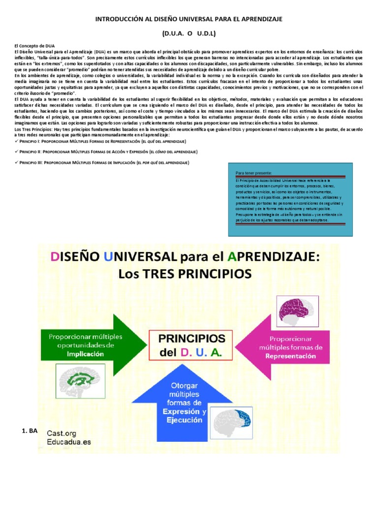 Principios del Diseño Universal para el Aprendizaje | PDF | Plan de ...