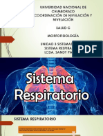 Dispositiva Sistema Respiratorio 1