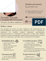 Currículo Tarsila