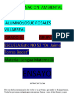 Contaminacion Ambiental