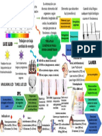 Terapias Luminicas-1
