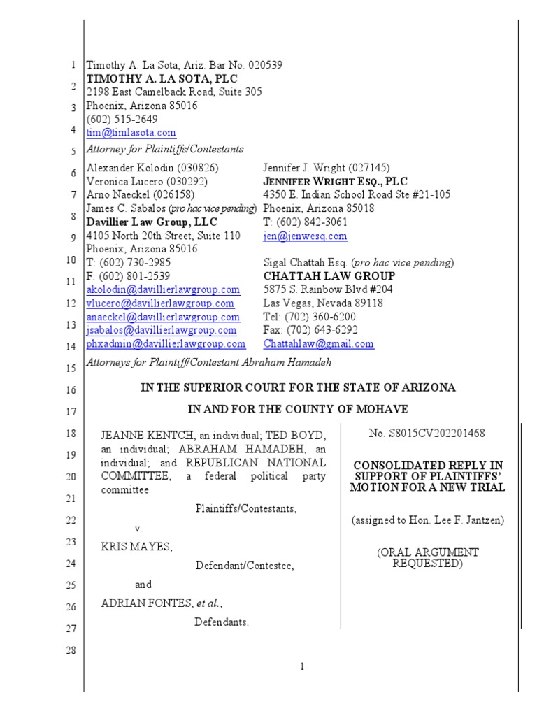 abe-hamadeh-consolidated-reply-in-support-of-plaintiffs-motion-for-a