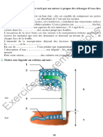 Exercices de Remédiations