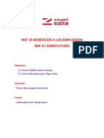 Niif 19 Beneficios A Los Empleados y Niif 41agricultura...