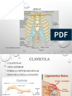 6 Torax y Columna