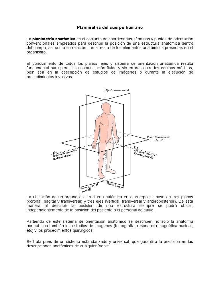 Anatomia y Fisiologia Del Cuerpo Humano | Descargar gratis PDF ...