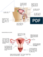 Examguide