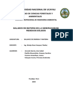 Balance de Materia en La Generacion de Residuos Sólidos