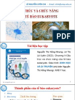 TB Eukaryote-2022-UYÊN CHI